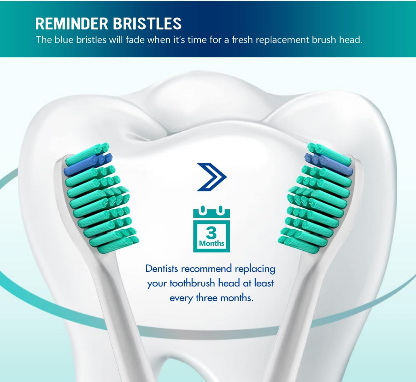 Sonicare Replacement Toothbrushheads